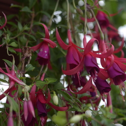 Dendrologická zahrada 11.9.22